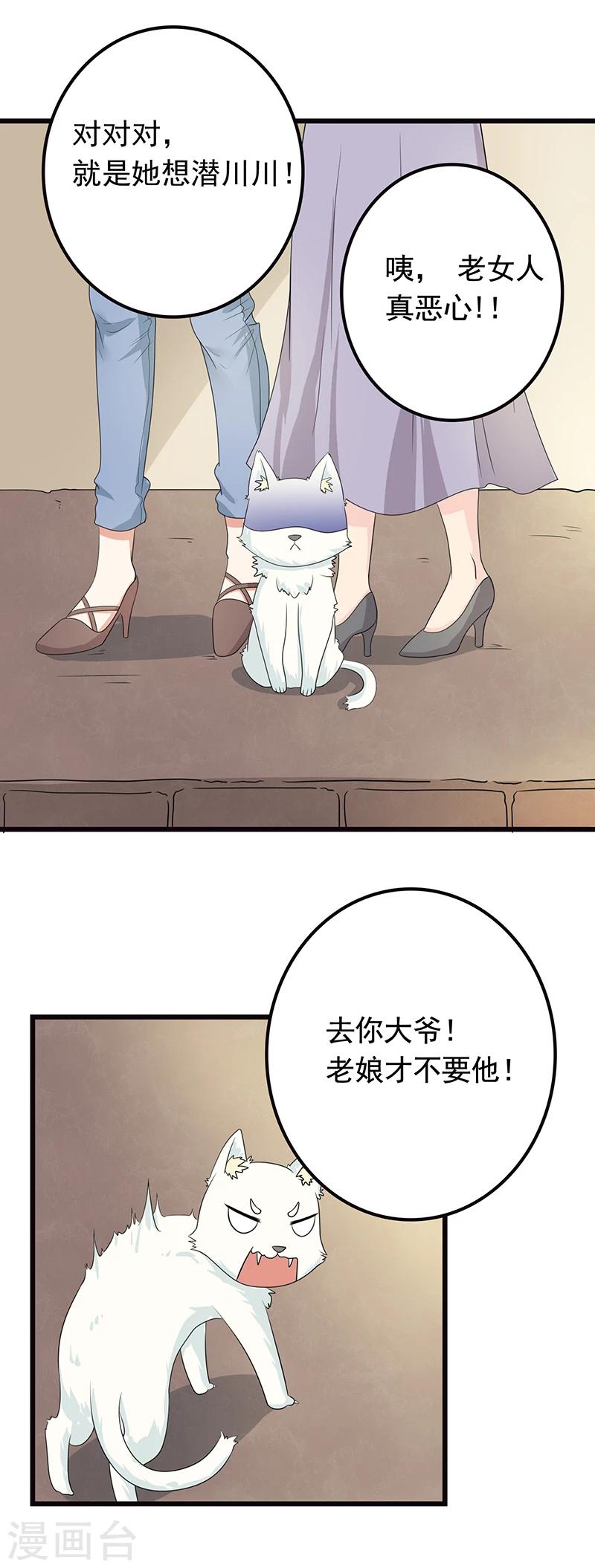 家有猫粮漫画,第5话 做一只猫好累2图