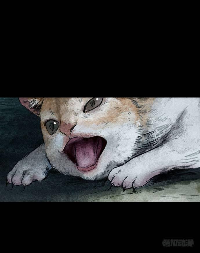什么是入画出画漫画,猫-31图