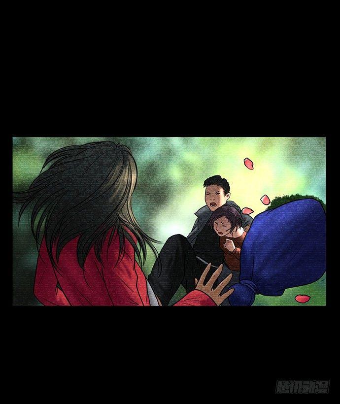 什么是入画出画漫画,花-21图