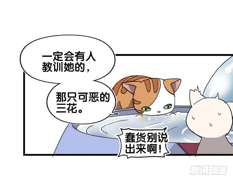 黑猫漫画,13.猫老大2图