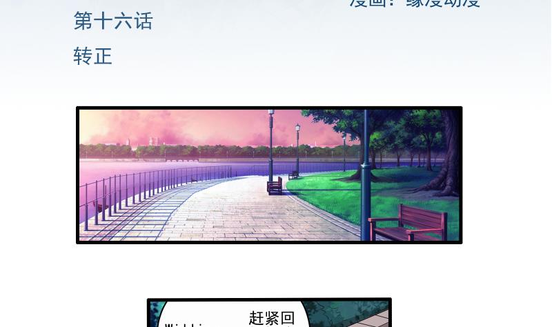 我不是精英在线观看漫画,第16话 转正2图