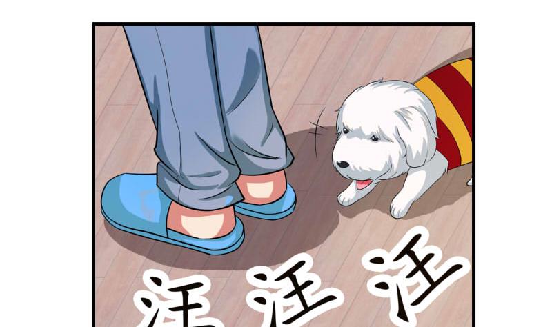 我不是精英在线观看免费漫画,第15话 何宁辞职2图