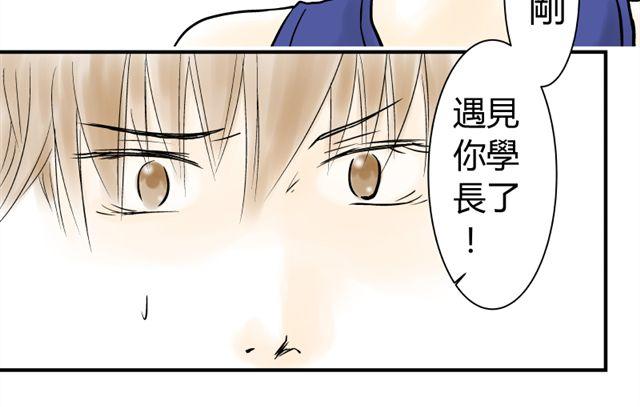 青空下的卡缪攻略漫画,第13话 傲娇脸2图