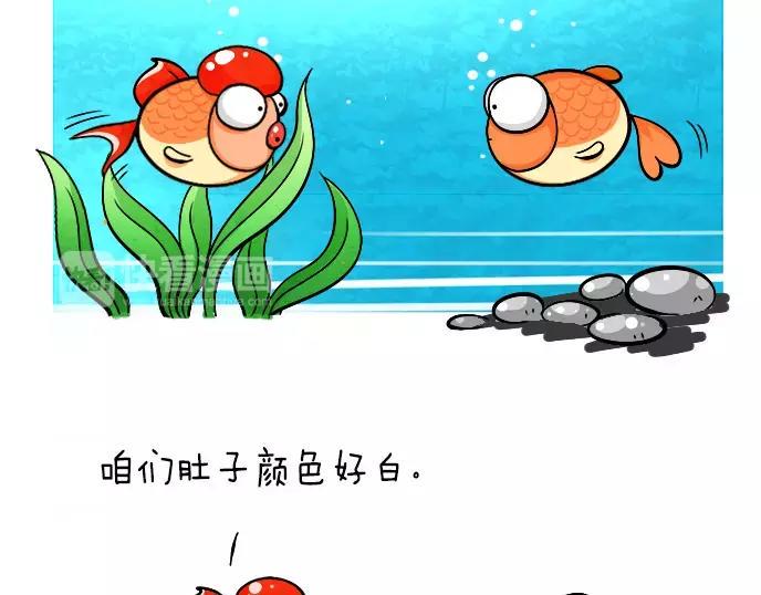 泰迪熊漫画,第20话1图