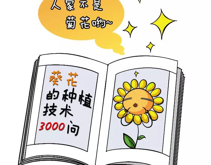 泰迪熊漫画,第1话1图