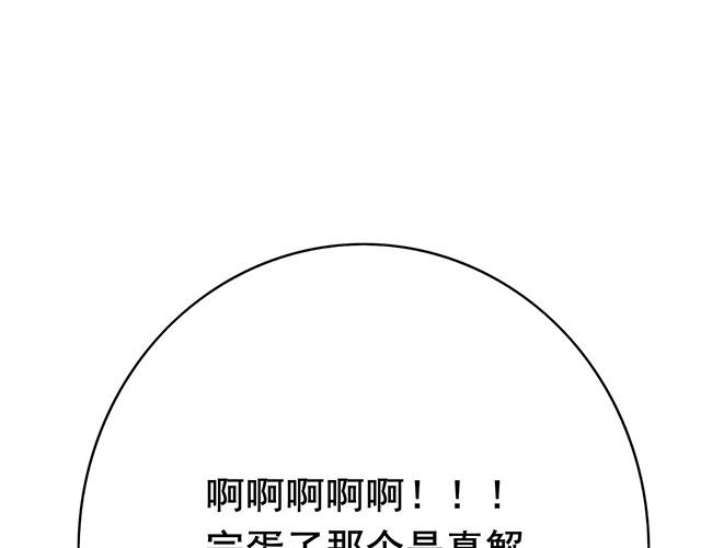 灵芝孢子粉功效与作用漫画,第11话1图