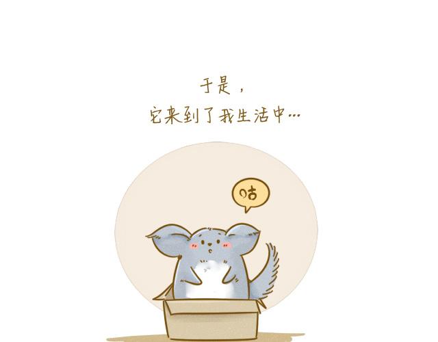 我是一个兵歌词漫画,对不起，谢谢你1图
