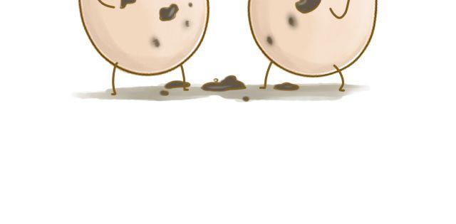 我是一个蛋糕 英文介绍漫画,牛粪般的青葱1图