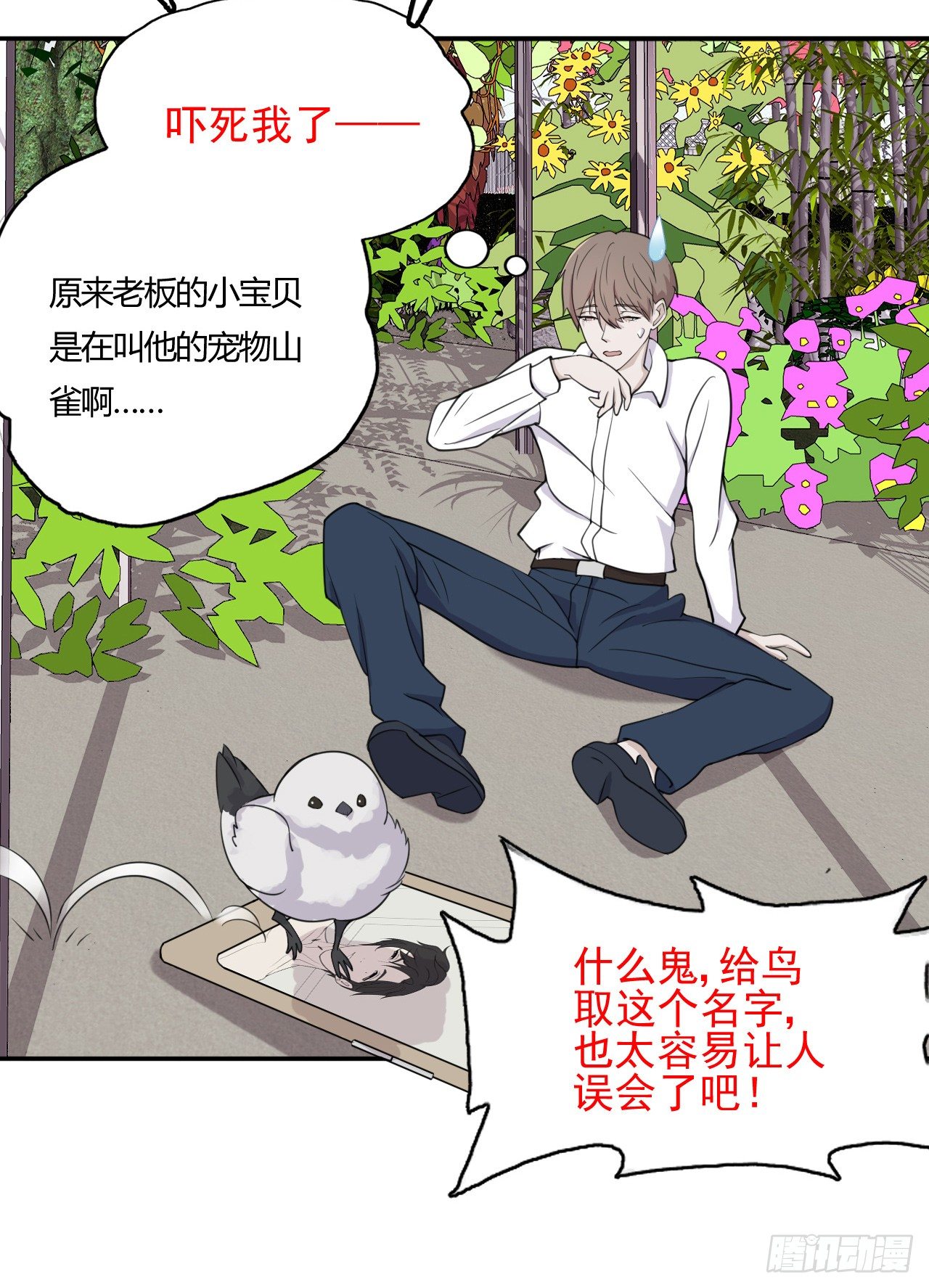 麻雀系男友观察日记漫画,81图