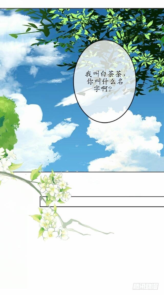 逢时茶花落漫画,第三十六话 无求2图