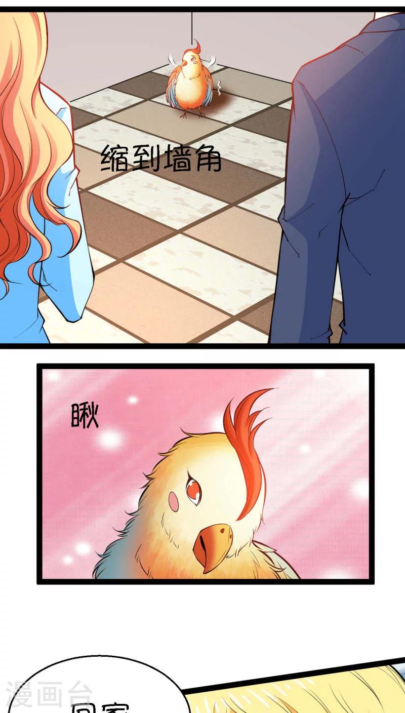 铲屎官也要谈恋爱漫画,第5话1图