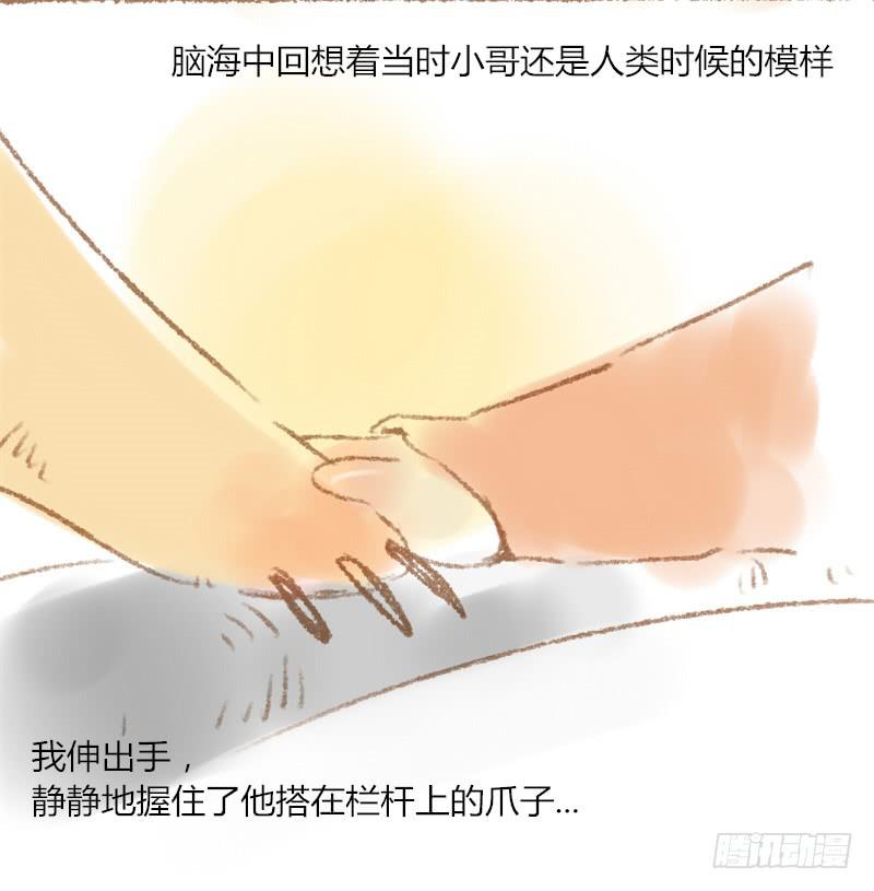 我的恋人非人类txt漫画,相伴的夜晚1图