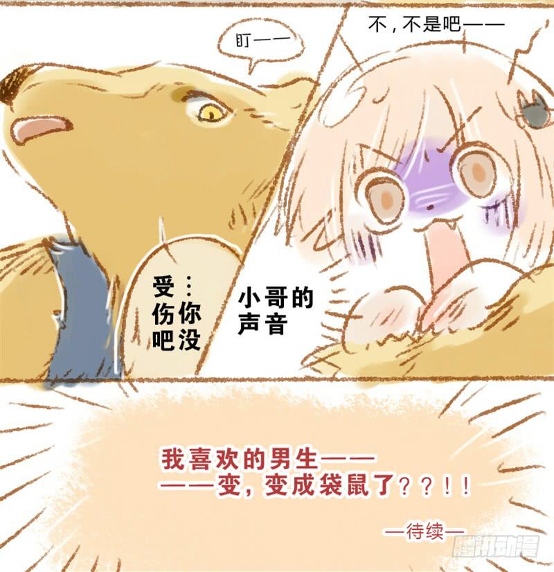 我的恋人在远方漫画,他变成了袋鼠？！1图