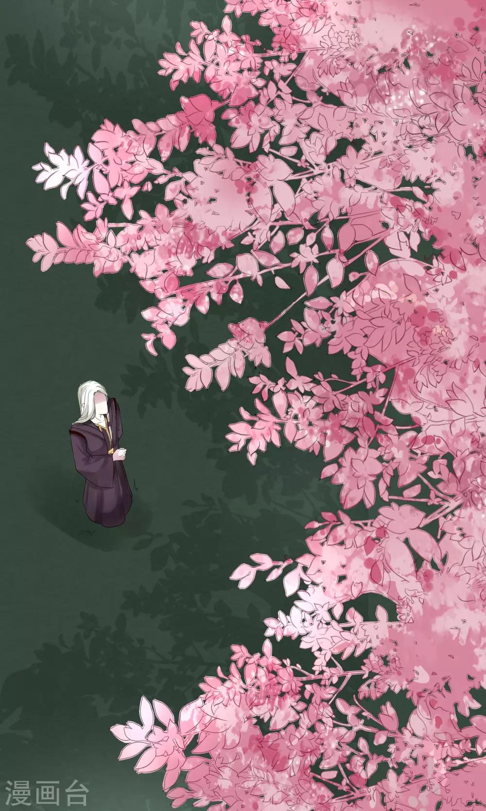 契约桃娘小说漫画,第8话 三百年的无果恋1图