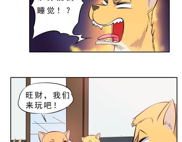 王曼昱霸气制止闪光灯漫画,第10话 女主人竟然要把我送走！2图