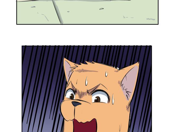 王楚然维多利亚的秘密图片漫画,第11话 虐待2图