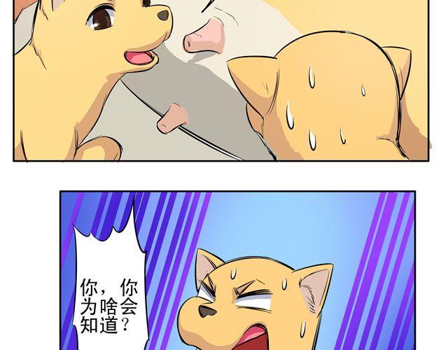 王材传奇漫画,第9话 变成狗或许也不错！2图