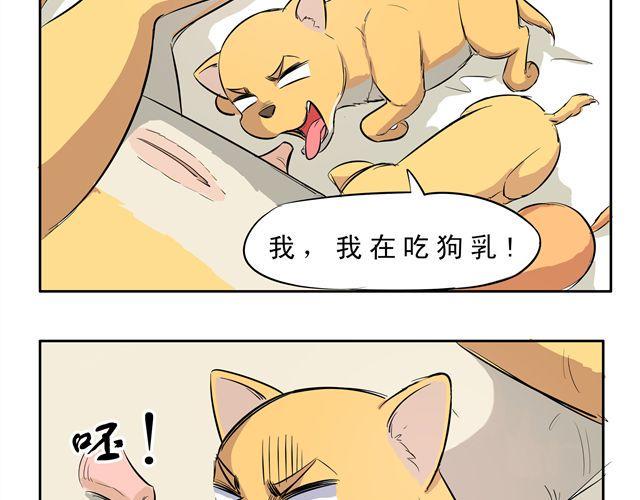 王材传奇漫画,第9话 变成狗或许也不错！1图
