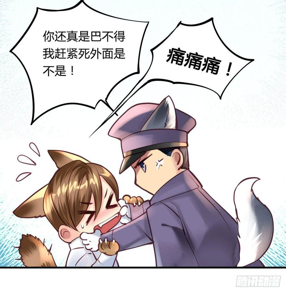 卿如故文玩核桃漫画,252图