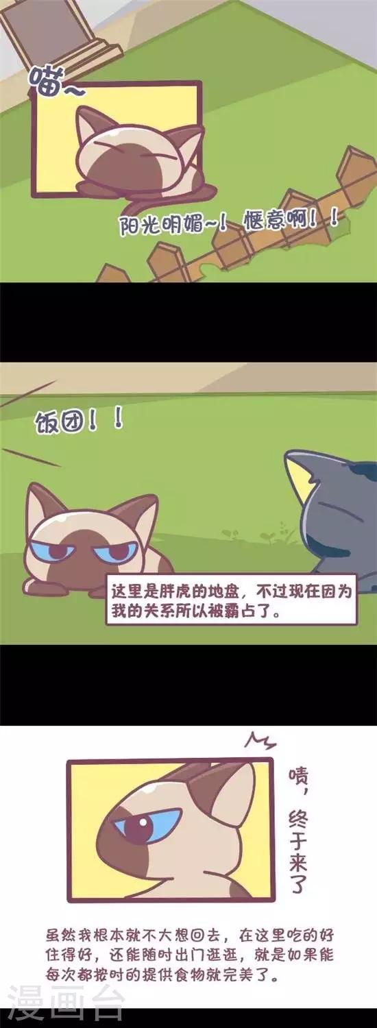 喵星人日记漫画,第12话1图