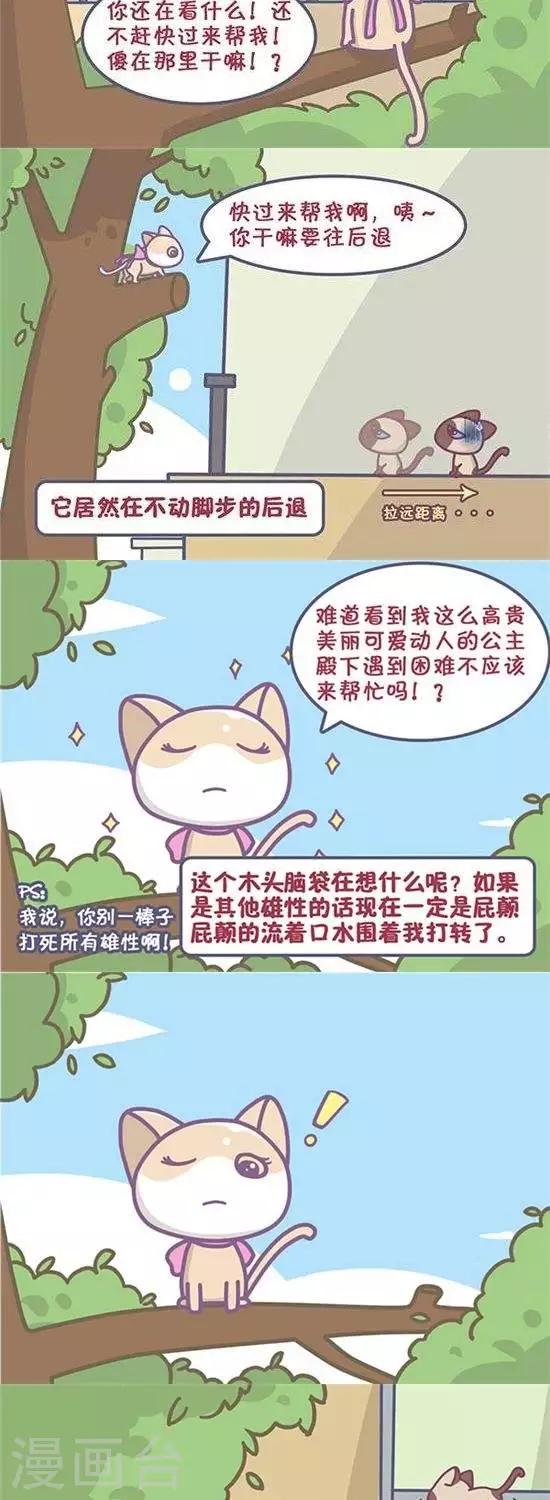 喵星人日记漫画,第22话2图