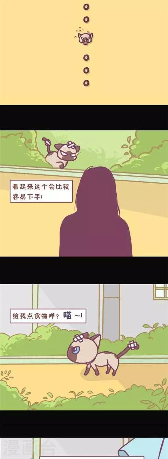 喵星人日记漫画,第8话2图