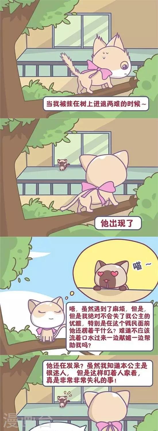 喵星人日记漫画,第22话1图