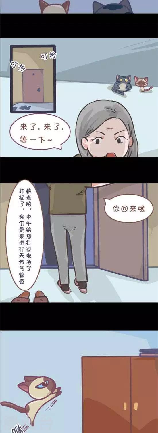 喵星人日记漫画,第9话1图