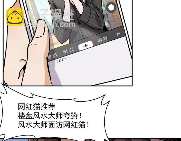 上线确认单漫画,网红猫1图