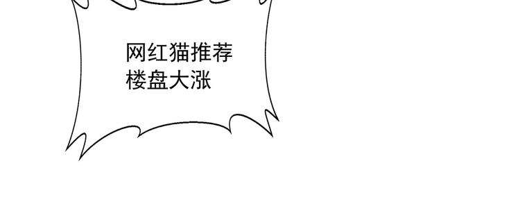 上线确认单漫画,网红猫2图