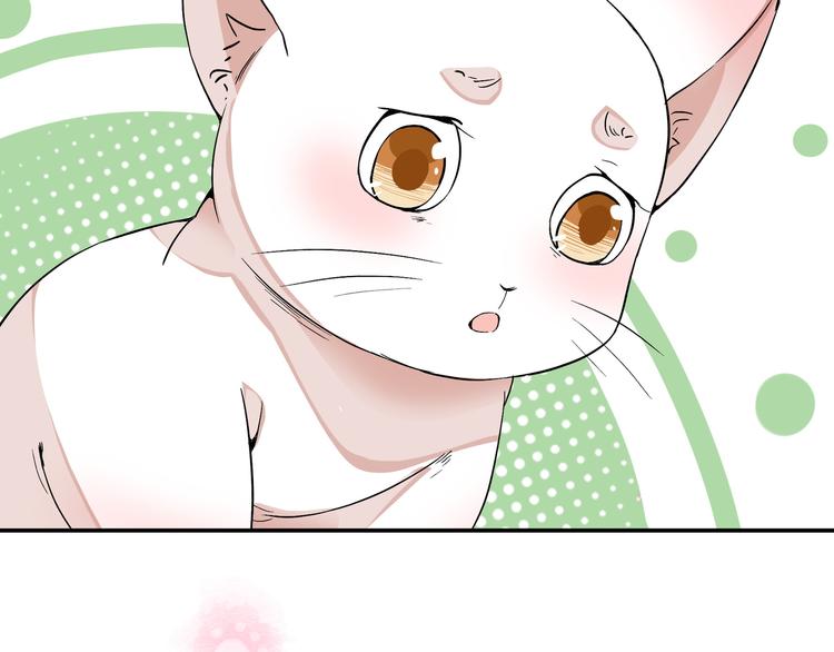 上仙，缺猫否？漫画,魂魄碎片1图