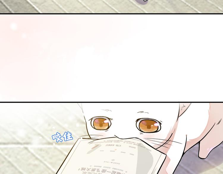 上仙，缺猫否？漫画,竟然开单了1图