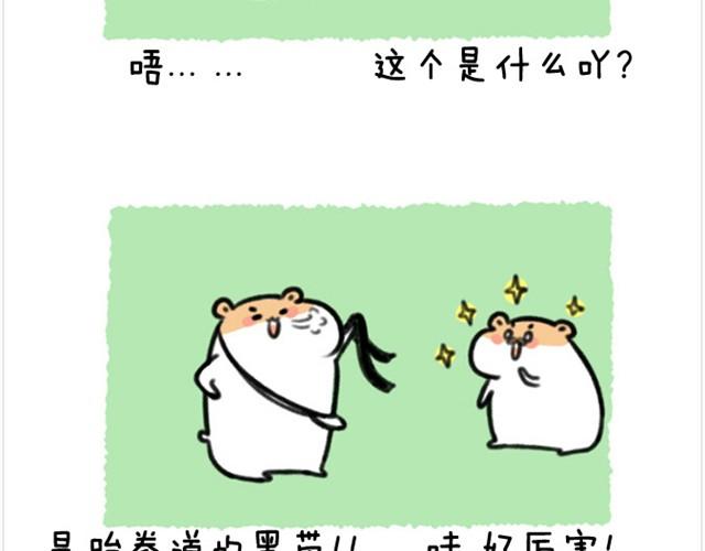软绵绵の日常漫画,第6话 茶包是跆拳道黑带？2图