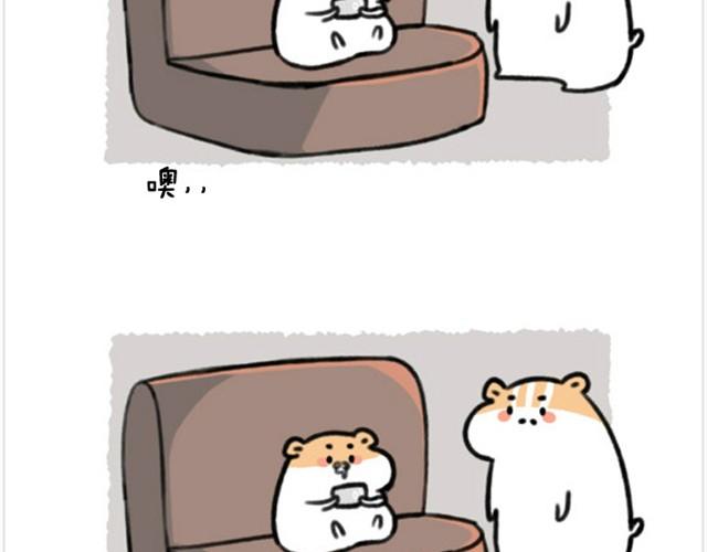 软绵绵の日常漫画,第6话 茶包是跆拳道黑带？2图