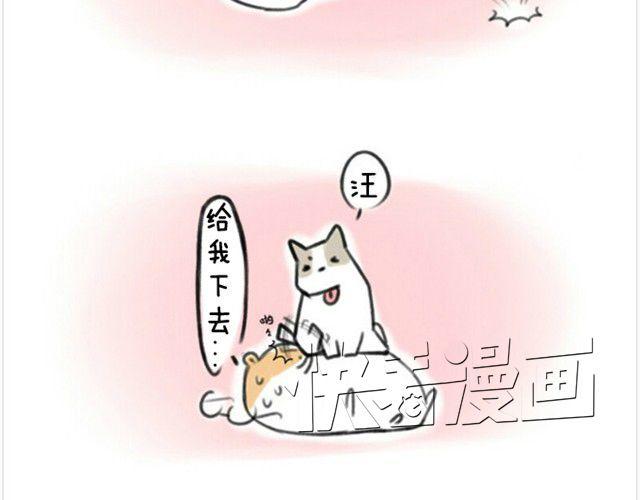 软绵绵の日常漫画,第1话 我吃东西的时候离我远点1图