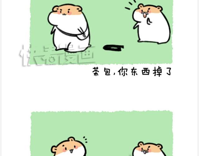 软绵绵の日常漫画,第6话 茶包是跆拳道黑带？1图