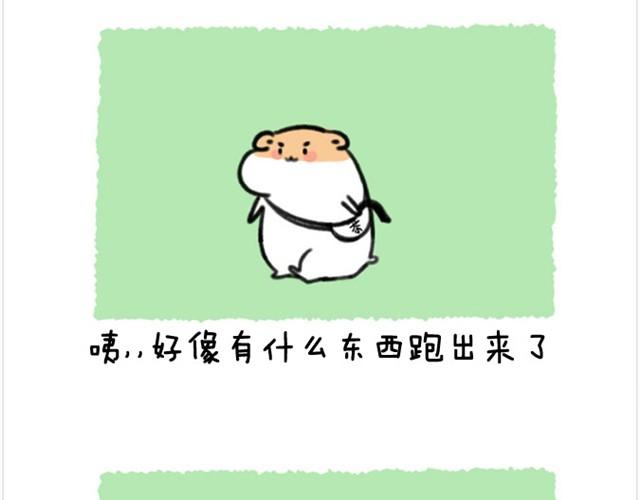 软绵绵の日常漫画,第6话 茶包是跆拳道黑带？1图