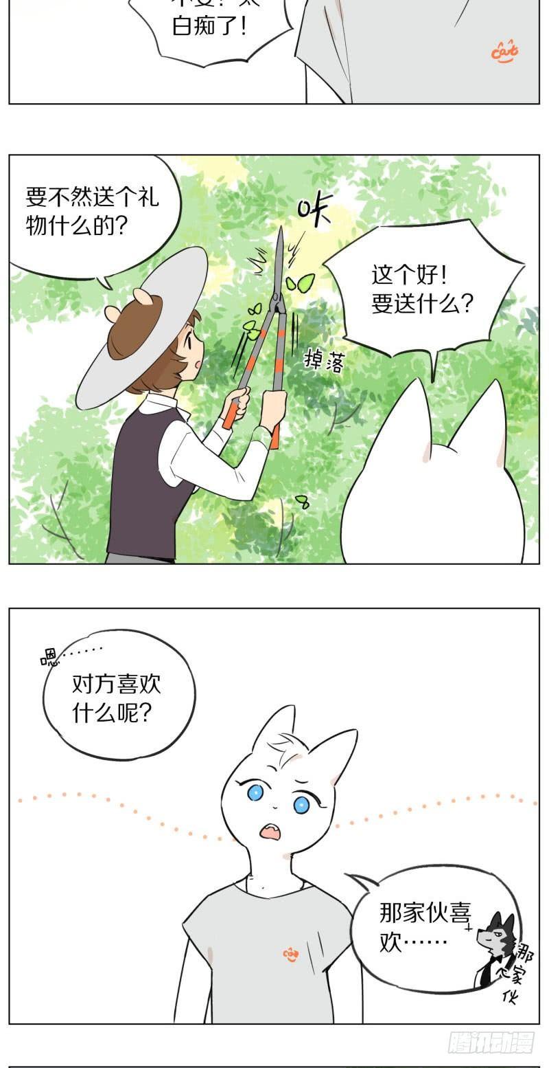 狼仆和猫漫画,一天2图