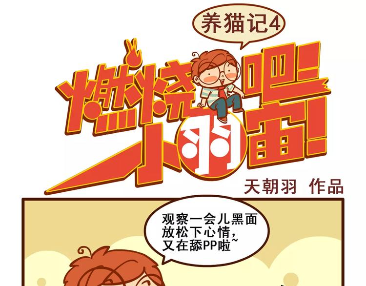 燃烧吧小宇宙节目串词漫画,养猫记41图
