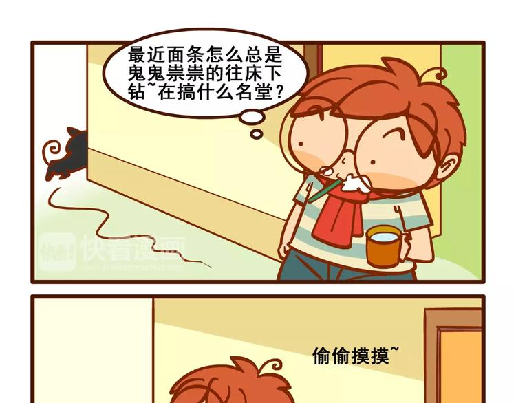 燃烧吧小宇宙节目串词漫画,养猫记42图