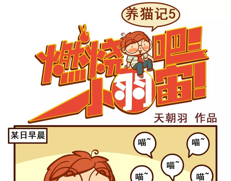 燃烧吧小宇宙节目串词漫画,养猫记51图