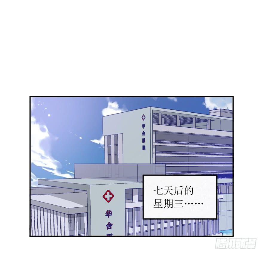 娱网之争漫画全集免费下拉漫画,第03话1图