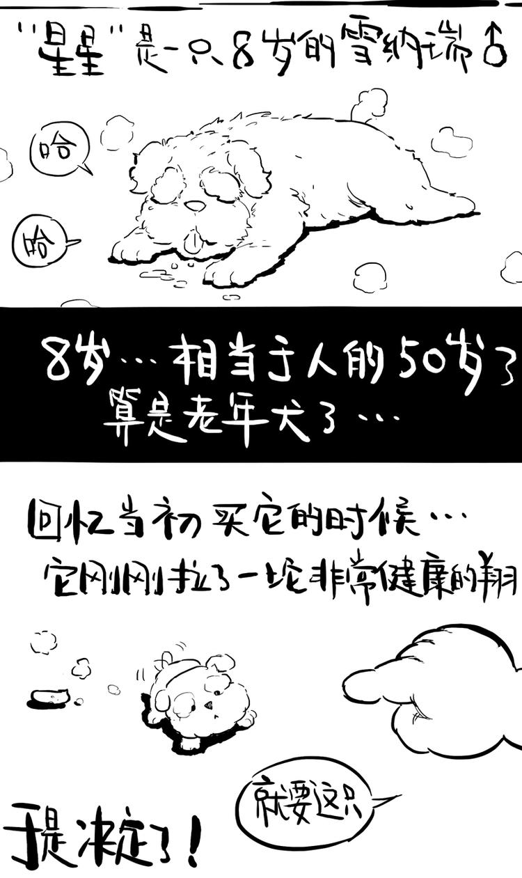 怪我无情越南神曲原唱漫画,番外 作者日记（二）2图