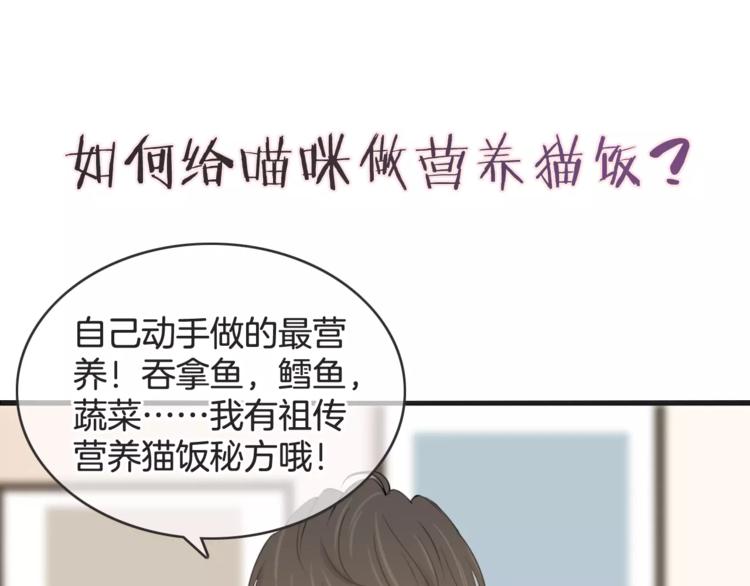 淘宝原创漫画征集漫画,菲斯娜Feisna【猫说鱼】1图