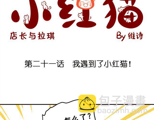 小红猫漫画,第21话 我遇到了小红猫！2图