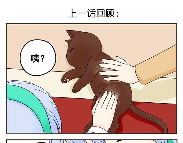小红帽的故事 睡前故事漫画,第8话 猫咪说，我回来了！1图