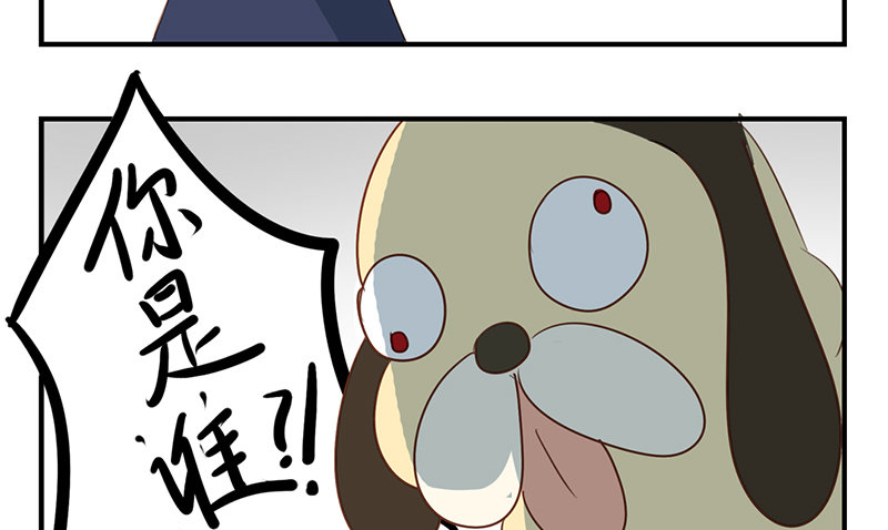 捡一只猫当男朋友漫画,第11话 我们回去吧1图