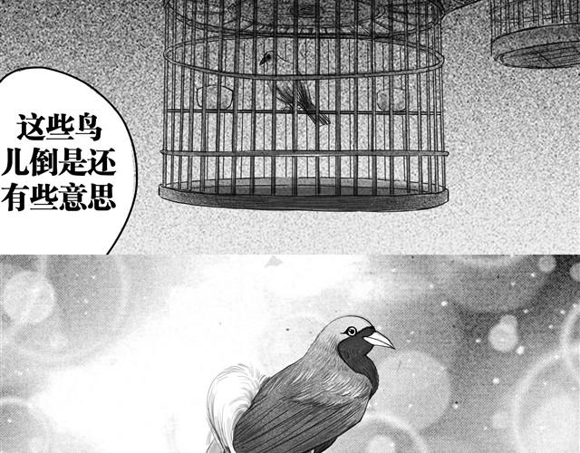 夏日长夜漫画,极乐鸟2图