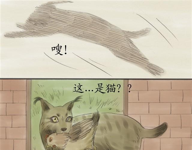 夏日长袖v领t恤漫画,夏日长夜#5 野猫（1）2图