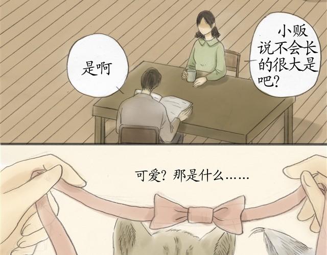 夏日长夜漫画,夏日长夜#7 野猫（3）2图